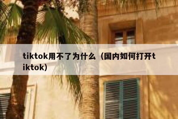 tiktok用不了为什么（国内如何打开tiktok） 第1张