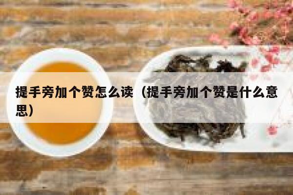 提手旁加个赞怎么读（提手旁加个赞是什么意思） 第1张