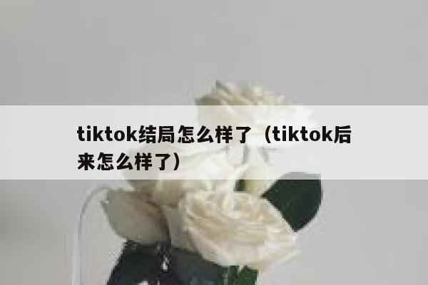 tiktok结局怎么样了（tiktok后来怎么样了） 第1张