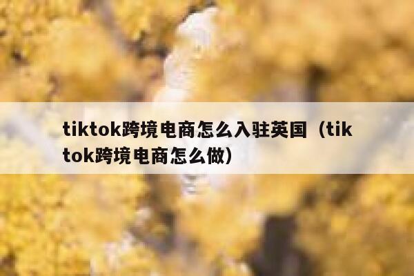 tiktok跨境电商怎么入驻英国（tiktok跨境电商怎么做） 第1张