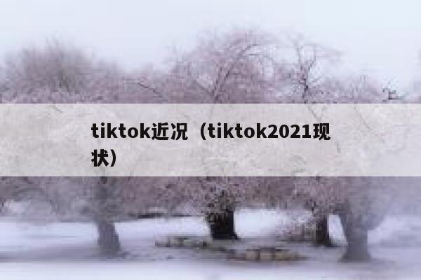 tiktok近况（tiktok2021现状） 第1张