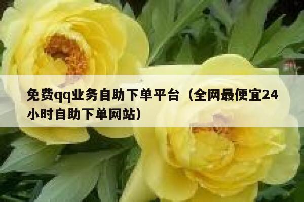免费qq业务自助下单平台（全网最便宜24小时自助下单网站） 第1张