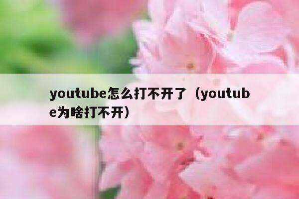 youtube怎么打不开了（youtube为啥打不开） 第1张