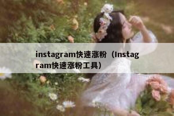 instagram快速涨粉（Instagram快速涨粉工具） 第1张