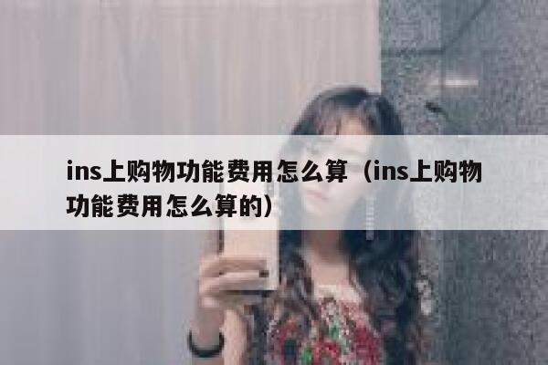 ins上购物功能费用怎么算（ins上购物功能费用怎么算的） 第1张