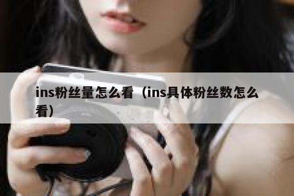 ins粉丝量怎么看（ins具体粉丝数怎么看） 第1张