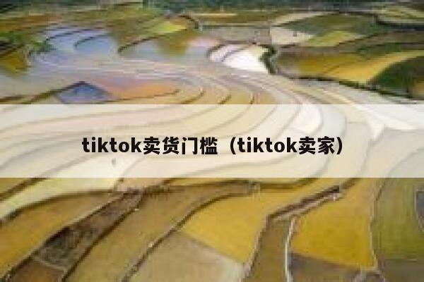 tiktok卖货门槛（tiktok卖家） 第1张