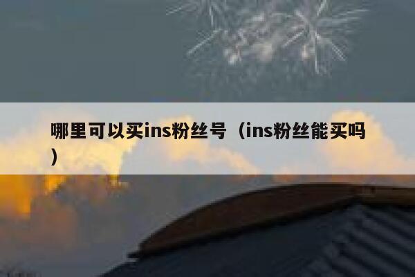 哪里可以买ins粉丝号（ins粉丝能买吗） 第1张