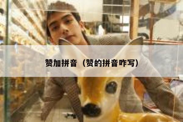 赞加拼音（赞的拼音咋写） 第1张