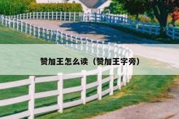 赞加王怎么读（赞加王字旁） 第1张
