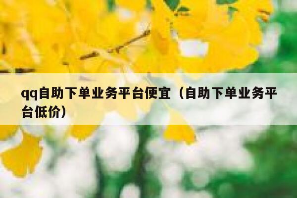 qq自助下单业务平台便宜（自助下单业务平台低价） 第1张