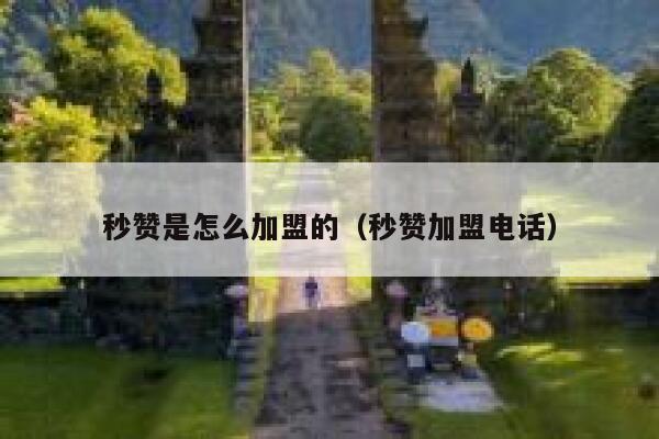 秒赞是怎么加盟的（秒赞加盟电话） 第1张