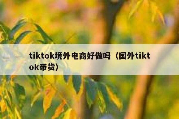 tiktok境外电商好做吗（国外tiktok带货） 第1张