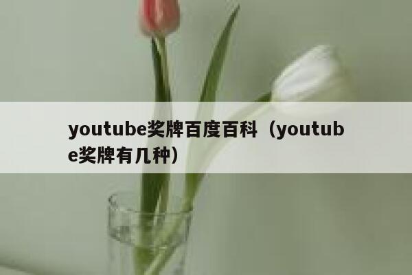 youtube奖牌百度百科（youtube奖牌有几种） 第1张