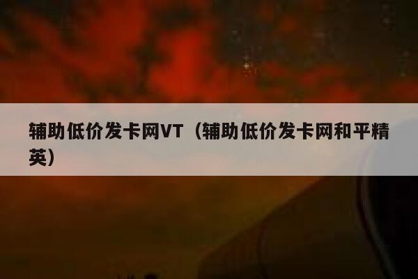 辅助低价发卡网VT（辅助低价发卡网和平精英） 第1张