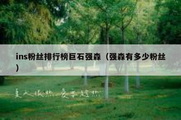 ins粉丝排行榜巨石强森（强森有多少粉丝） 第1张