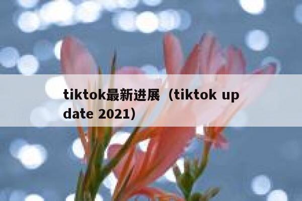 tiktok最新进展（tiktok update 2021） 第1张