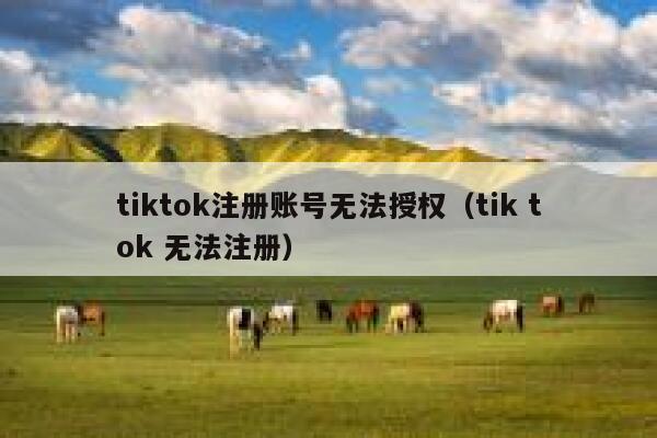 tiktok注册账号无法授权（tik tok 无法注册） 第1张