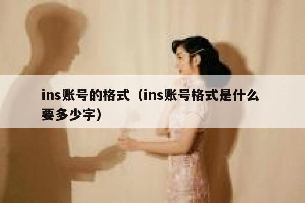 ins账号的格式（ins账号格式是什么 要多少字） 第1张
