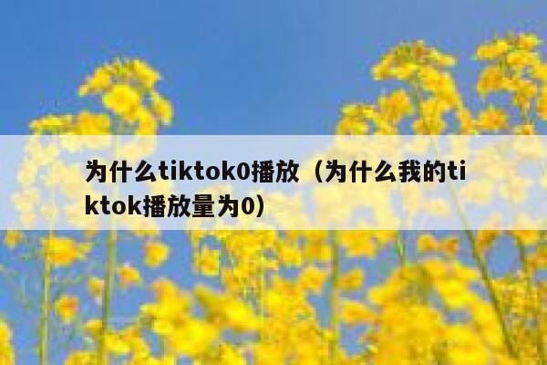 为什么tiktok0播放（为什么我的tiktok播放量为0） 第1张