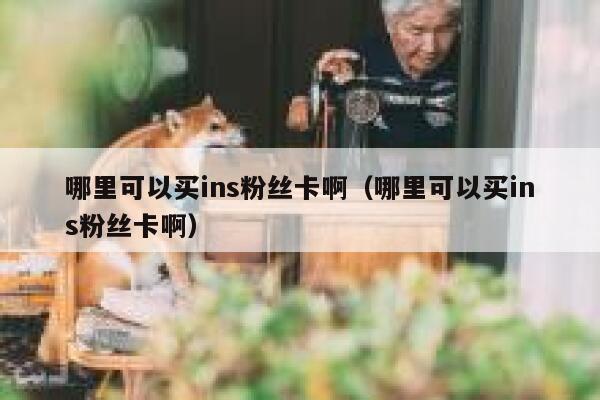 哪里可以买ins粉丝卡啊（哪里可以买ins粉丝卡啊） 第1张