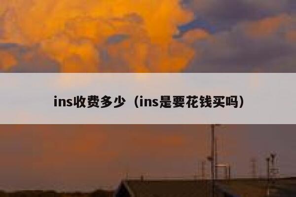 ins收费多少（ins是要花钱买吗） 第1张
