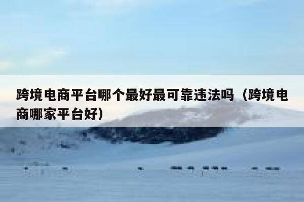 跨境电商平台哪个最好最可靠违法吗（跨境电商哪家平台好） 第1张