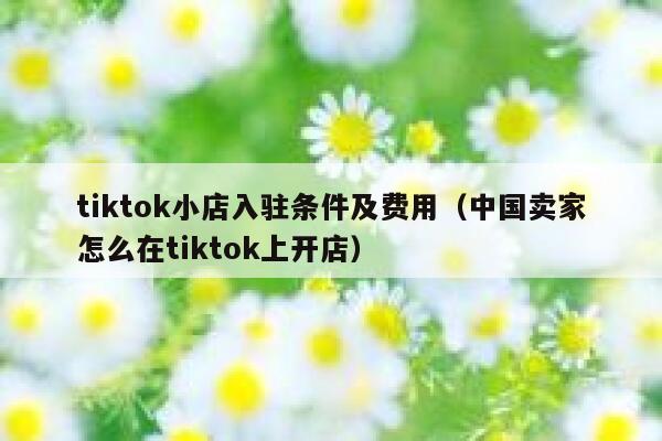 tiktok小店入驻条件及费用（中国卖家怎么在tiktok上开店） 第1张