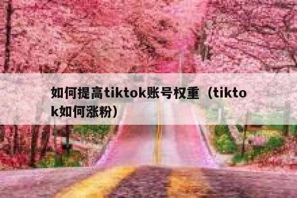 如何提高tiktok账号权重（tiktok如何涨粉） 第1张
