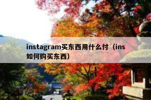 instagram买东西用什么付（ins如何购买东西） 第1张