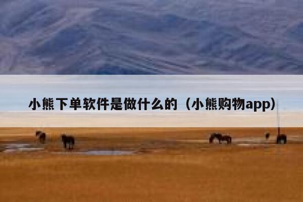 小熊下单软件是做什么的（小熊购物app） 第1张