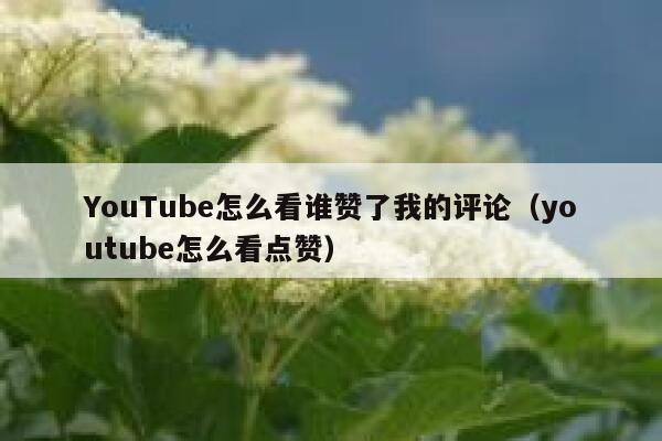 YouTube怎么看谁赞了我的评论（youtube怎么看点赞） 第1张