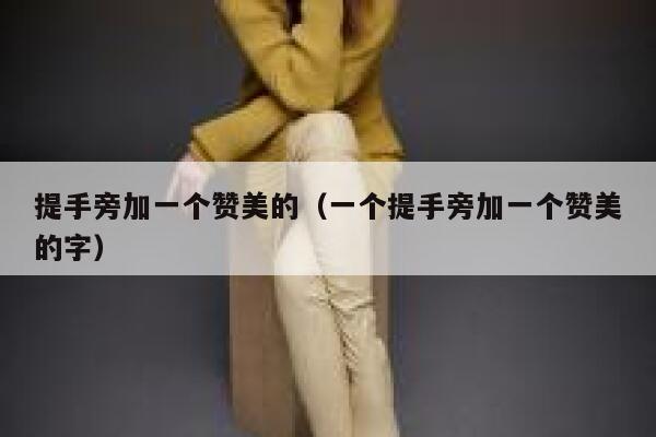 提手旁加一个赞美的（一个提手旁加一个赞美的字） 第1张