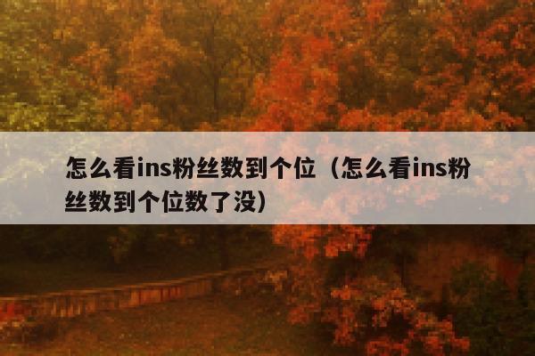 怎么看ins粉丝数到个位（怎么看ins粉丝数到个位数了没） 第1张