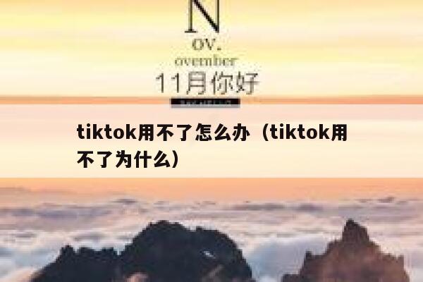 tiktok用不了怎么办（tiktok用不了为什么） 第1张