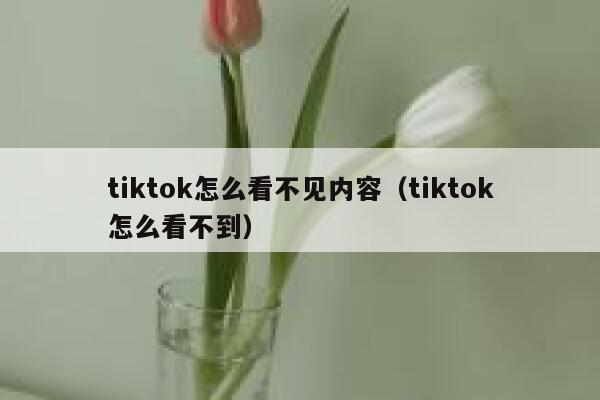tiktok怎么看不见内容（tiktok怎么看不到） 第1张