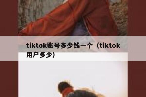 tiktok账号多少钱一个（tiktok用户多少） 第1张