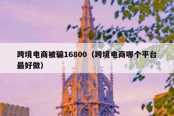跨境电商被骗16800（跨境电商哪个平台最好做） 第1张