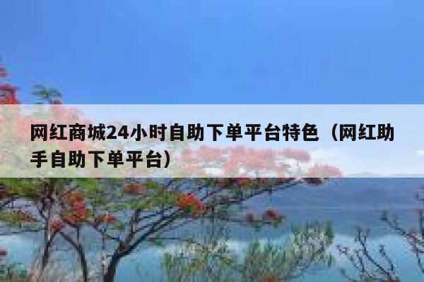 网红商城24小时自助下单平台特色（网红助手自助下单平台） 第1张