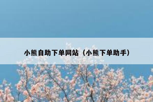 小熊自助下单网站(小熊下单助手) 第1张 小熊自助下单网站(小熊下单助手) 第1张