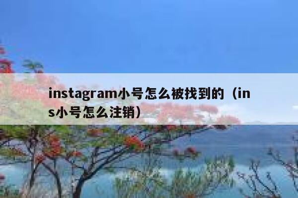 instagram小号怎么被找到的(ins小号怎么注销) 第1张 instagram小号怎么被找到的(ins小号怎么注销) 第1张