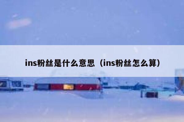 ins粉丝是什么意思（ins粉丝怎么算） 第1张