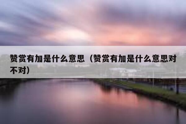 赞赏有加是什么意思（赞赏有加是什么意思对不对） 第1张
