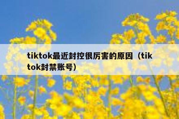 tiktok最近封控很厉害的原因(tiktok封禁账号) 第1张 tiktok最近封控很厉害的原因(tiktok封禁账号) 第1张