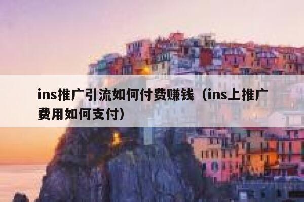 ins推广引流如何付费赚钱（ins上推广费用如何支付） 第1张