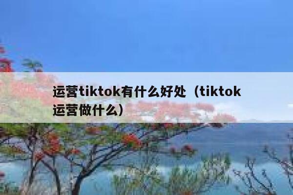 运营tiktok有什么好处(tiktok运营做什么) 第1张 运营tiktok有什么好处(tiktok运营做什么) 第1张
