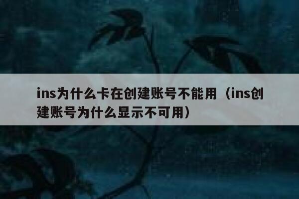 ins为什么卡在创建账号不能用(ins创建账号为什么显示不可用) 第1张 ins为什么卡在创建账号不能用(ins创建账号为什么显示不可用) 第1张