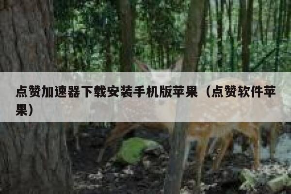 点赞加速器下载安装手机版苹果（点赞软件苹果） 第1张