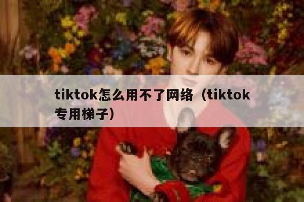 tiktok怎么用不了网络(tiktok专用梯子) 第1张 tiktok怎么用不了网络(tiktok专用梯子) 第1张