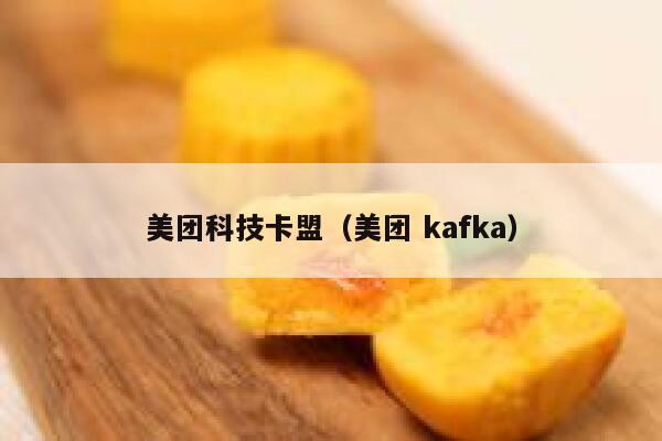 美团科技卡盟(美团 kafka) 第1张 美团科技卡盟(美团 kafka) 第1张